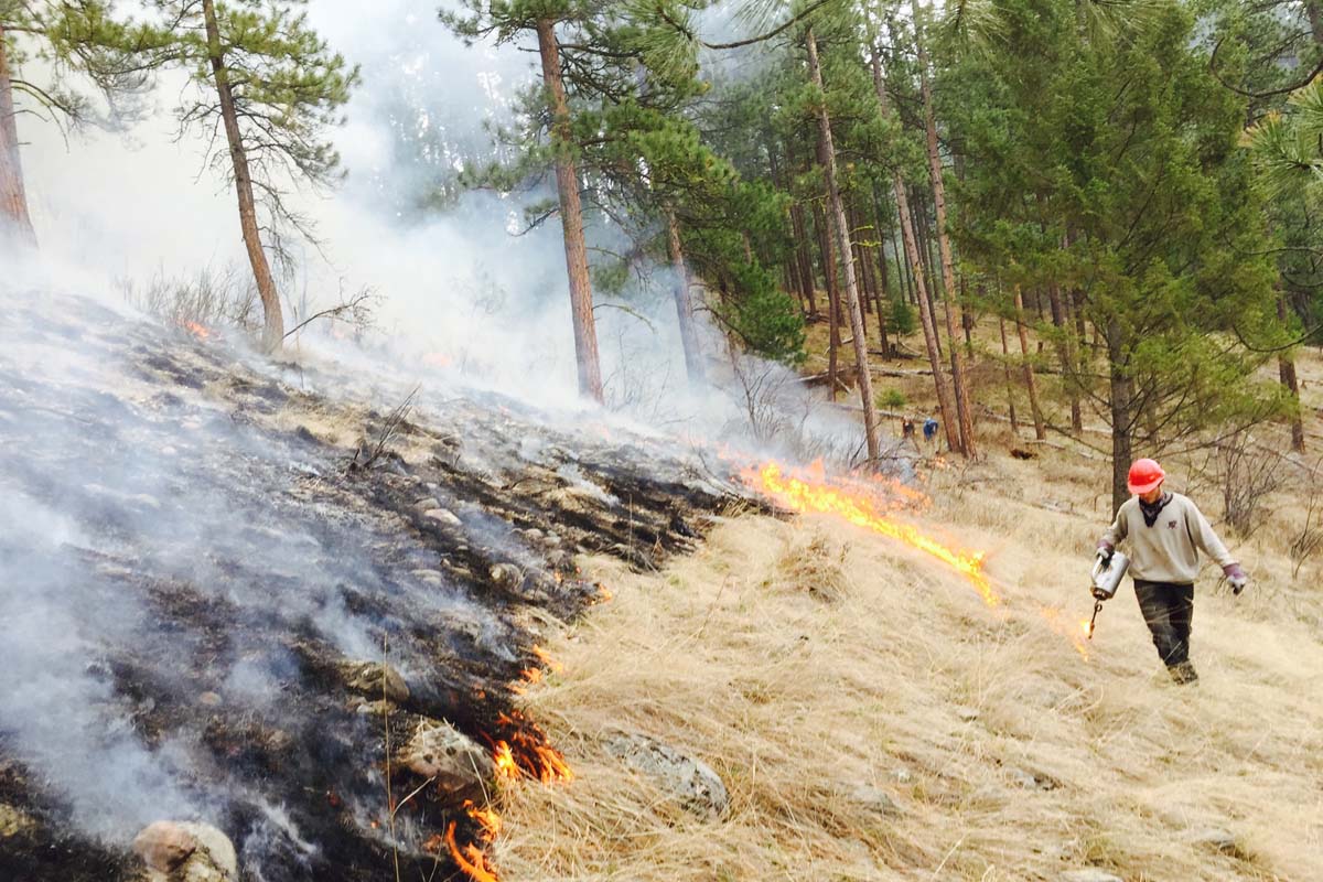 Prescribed Burn Services, Missoula Montana 