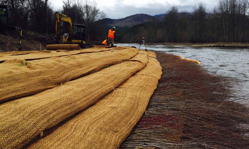 Kelly Island Fishing Access Restoration, Montana Riparian Restoration