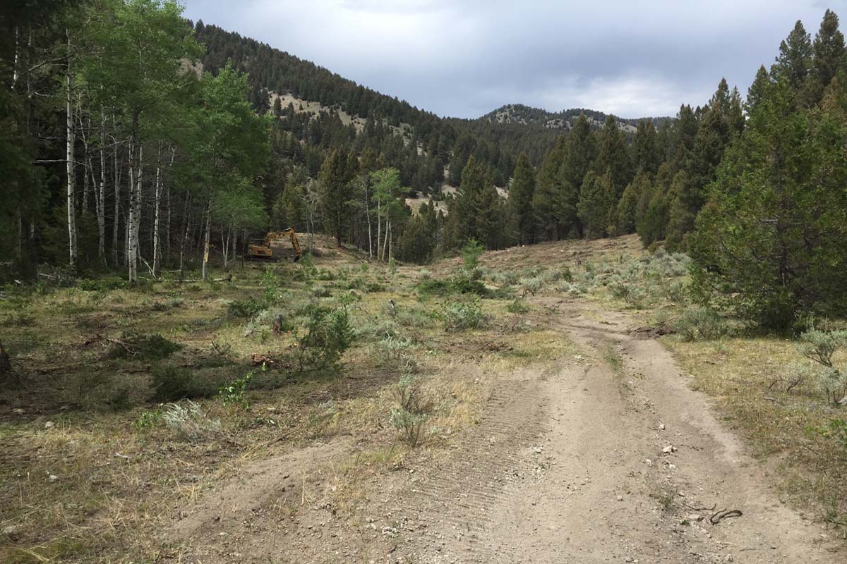 Rangeland enhancement, Montana road restoration