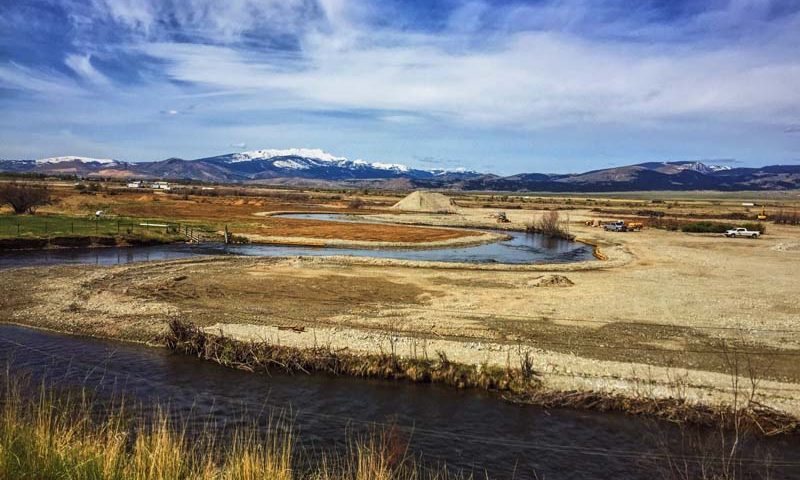 Clark Fork Revegetation Project, Montana Forestry Company